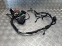 Instalacja elektryczna wiązka główna HONDA VTX 1300 C/R/S 05-07r   PN. 32100-MEA-A00