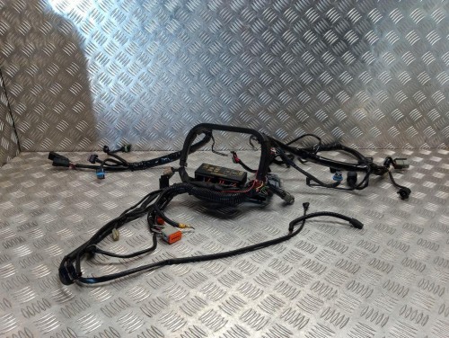 Instalacja elektryczna wiązka główna HARLEY DAVIDSON SOFTAIL HERITAGE FLSTCI 01-06r   PN. 70431-01