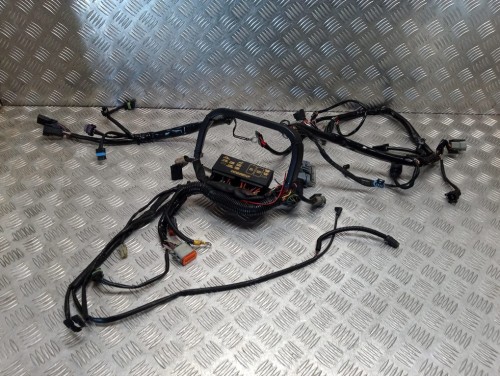Instalacja elektryczna wiązka główna HARLEY DAVIDSON SOFTAIL HERITAGE FLSTCI 01-06r   PN. 70431-01