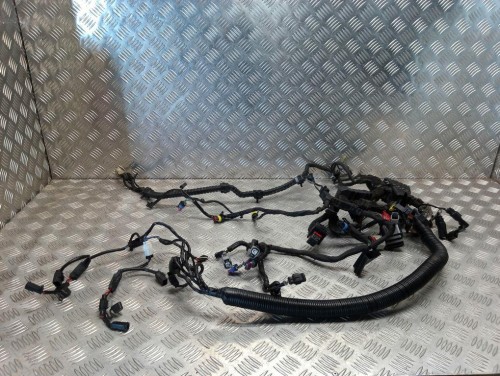 Instalacja elektryczna wiązka główna HARLEY DAVIDSON DYNA STREET BOB FXDB 2017r   PN. 69201445