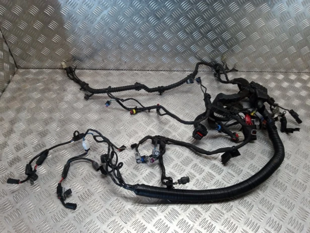 Instalacja elektryczna wiązka główna HARLEY DAVIDSON DYNA STREET BOB FXDB 2017r   PN. 69201445