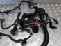 Instalacja elektryczna wiązka główna HARLEY DAVIDSON DYNA STREET BOB FXDB 2017r   PN. 69201445