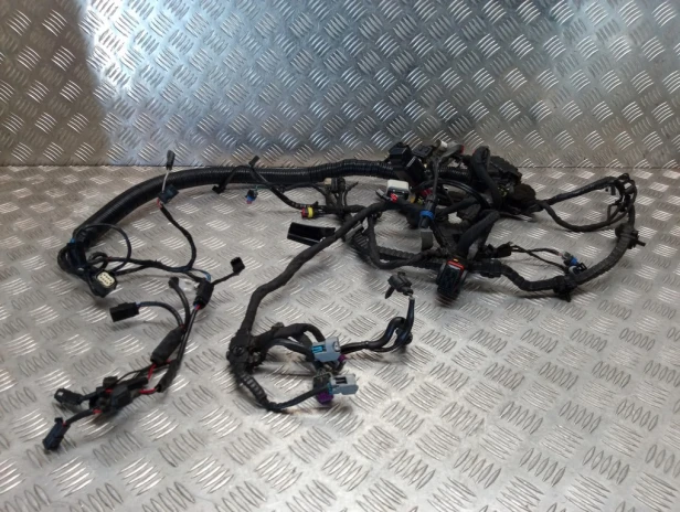 Instalacja elektryczna wiązka główna HARLEY DAVIDSON DYNA STREET BOB FXDB 2017r   PN. 69201445
