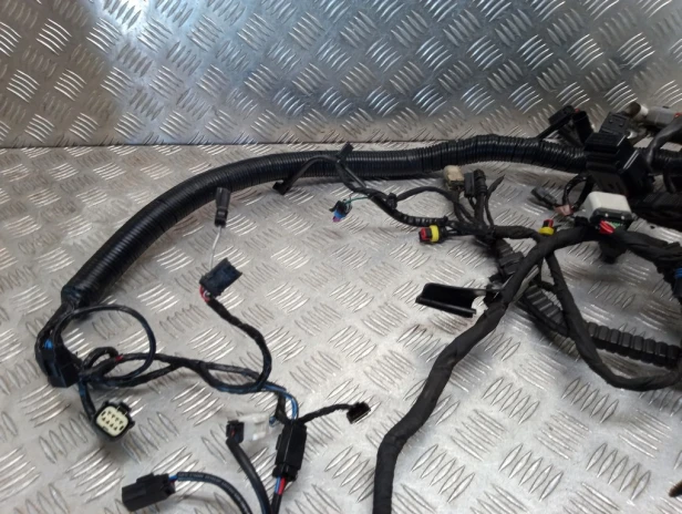 Instalacja elektryczna wiązka główna HARLEY DAVIDSON DYNA STREET BOB FXDB 2017r   PN. 69201445