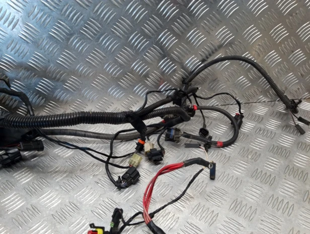 Instalacja elektryczna wiązka główna VICTORY CROSS ROADS 10-14r   PN. 2411045