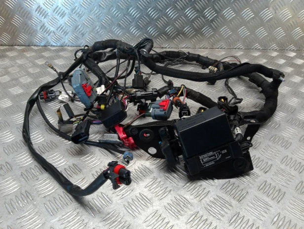 Instalacja elektryczna wiązka główna VICTORY VEGAS / 8-BALL 05-06r   PN. 2461226