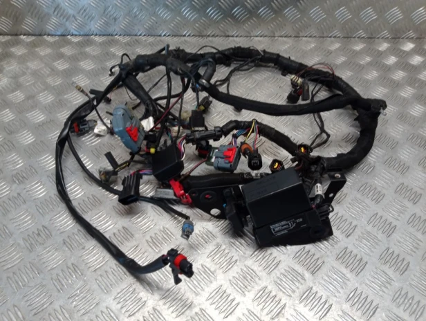 Instalacja elektryczna wiązka główna VICTORY VEGAS / 8-BALL 05-06r   PN. 2461226