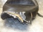 Siedzenie fotel kanapa kierowcy MUSTANG KAWASAKI VN 2000 VULCAN 2004-2009   PN. 4-VC2
